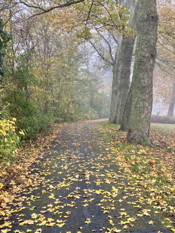Broederkring