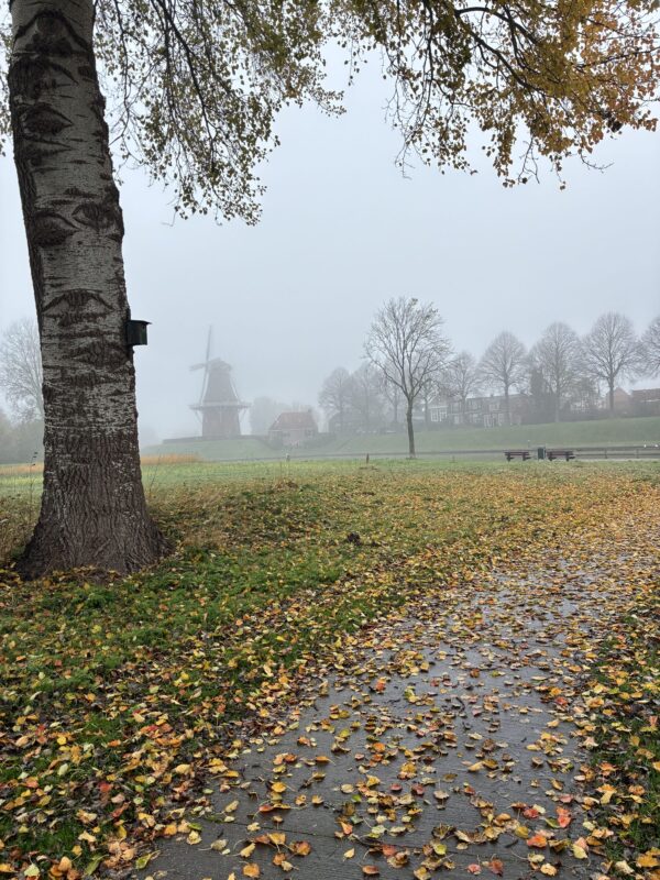 Kerkdienst