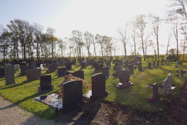 Laatste zondag van het kerkelijk jaar; herdenking overledenen.